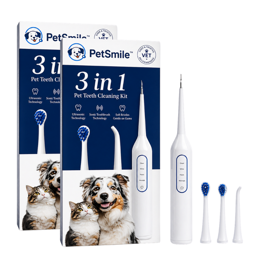 PetSmile