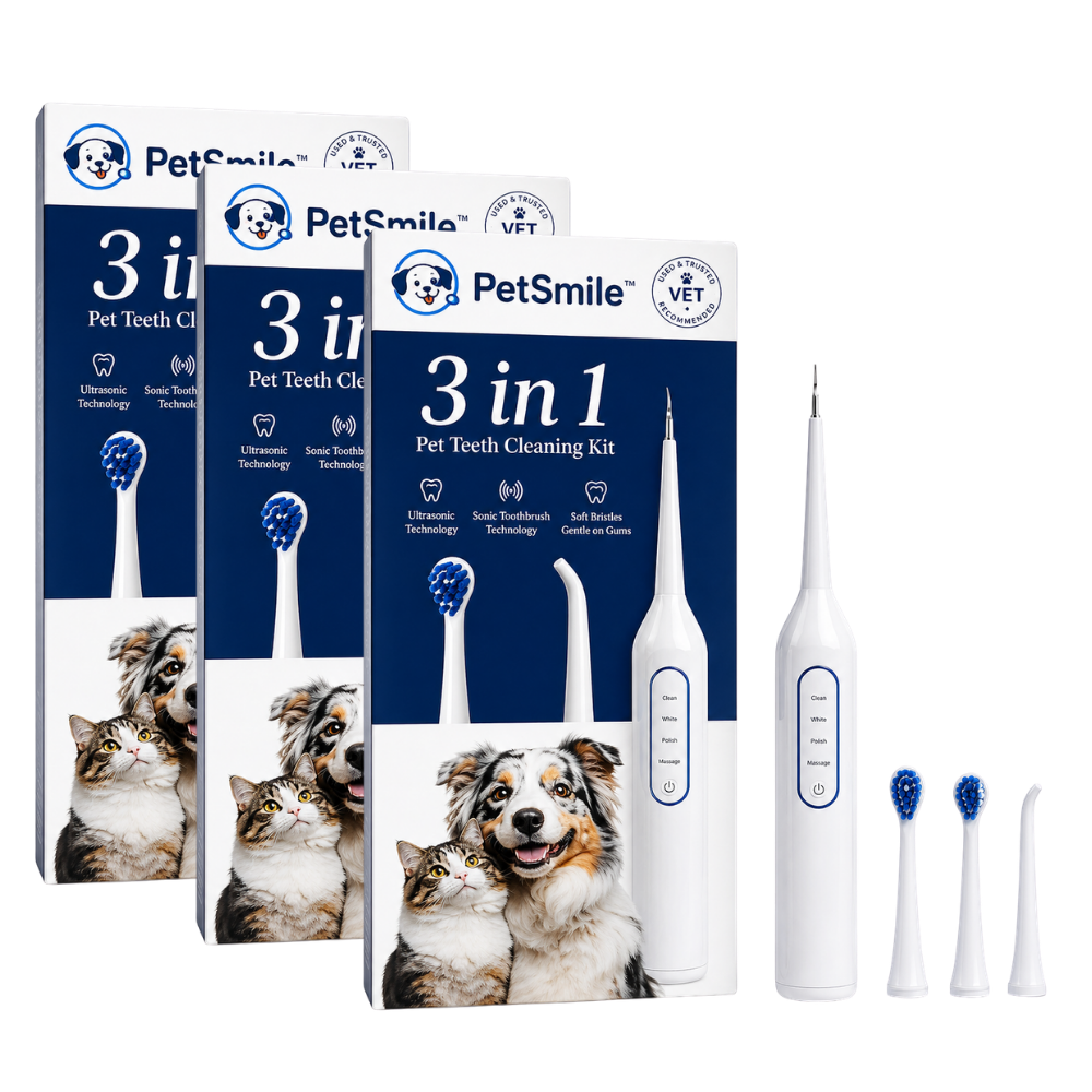 PetSmile