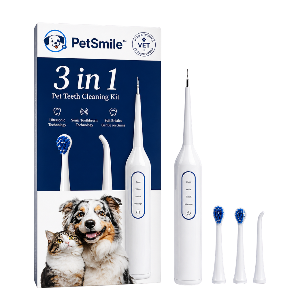PetSmile