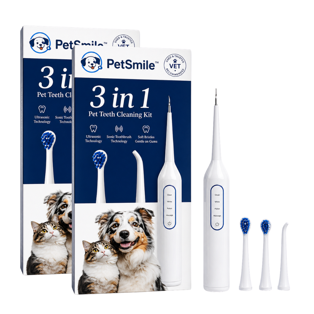 PetSmile